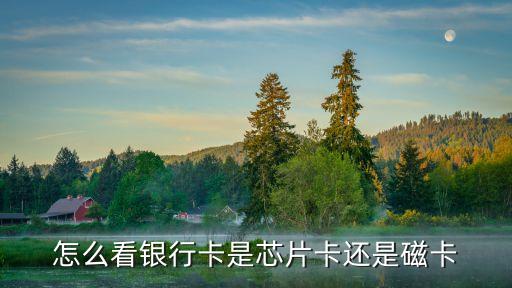 怎么看銀行卡是芯片卡還是磁卡