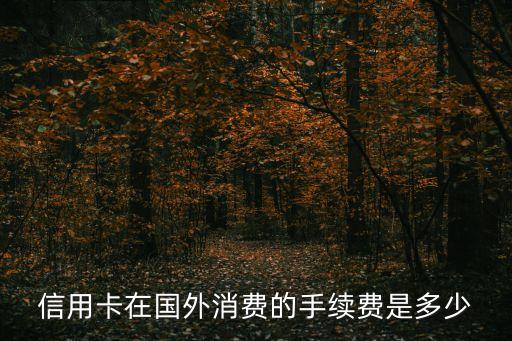 國外刷卡怎么算錢，在國外刷信用卡怎么算呢