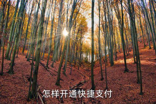 怎樣開(kāi)通快捷支付