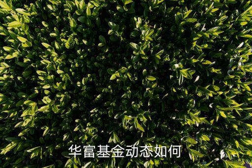 華富貨幣基金怎么，華富基金動態(tài)如何