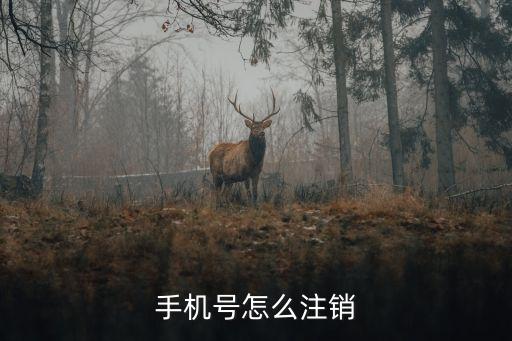 電話怎么銷戶，電話號(hào)碼如何注銷專家?guī)蛶兔?/></a></span><span id=