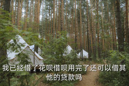 我已經(jīng)借了花唄借唄用完了還可以借其他的貸款嗎