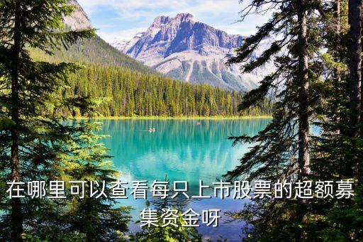在哪里可以查看每只上市股票的超額募集資金呀