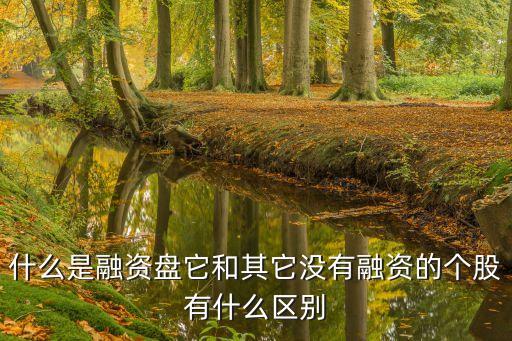 什么是融資盤它和其它沒(méi)有融資的個(gè)股有什么區(qū)別