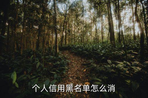 個(gè)人信用黑名單怎么消
