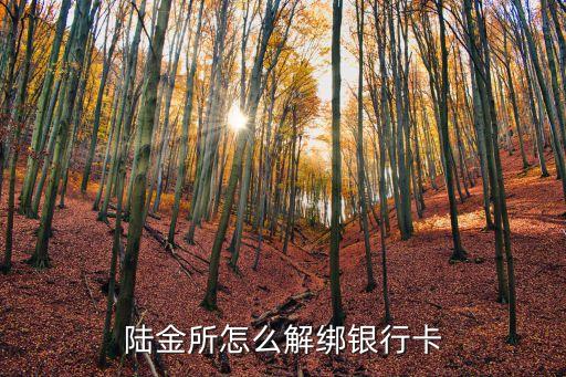陸金所怎么解綁銀行卡