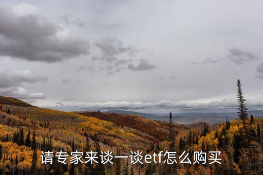 請專家來談一談etf怎么購買
