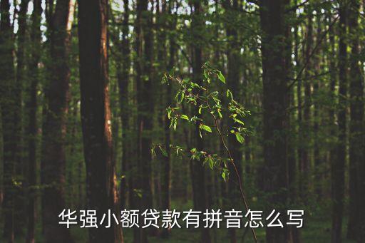 華強小額貸款有拼音怎么寫