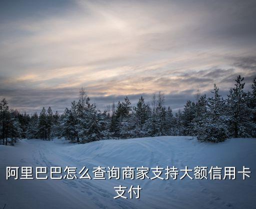 阿里巴巴怎么看開通信用卡，阿里巴巴怎么查詢商家支持大額信用卡支付