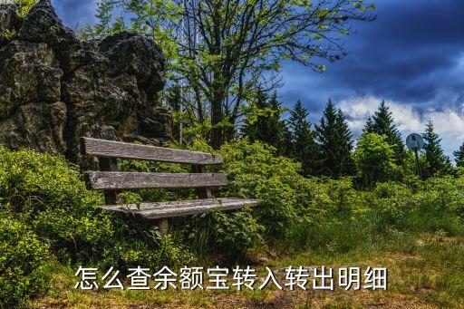 余額寶轉賬明細怎么查，怎么查余額寶轉入轉出明細