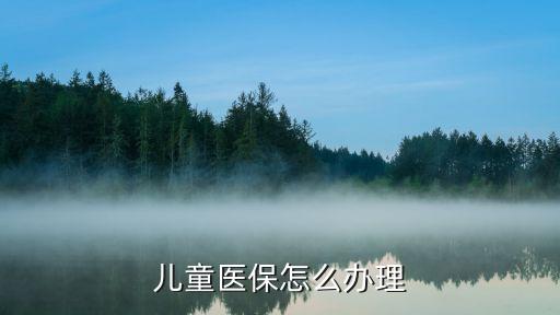 小孩子的醫(yī)保怎么辦，怎樣辦寶寶的醫(yī)療保險(xiǎn)