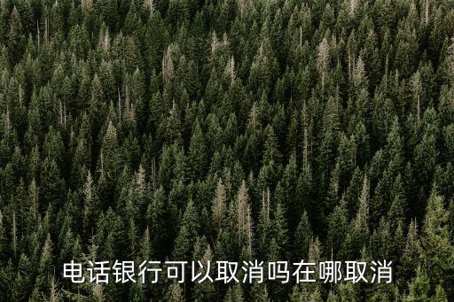 漢口銀行電話銀行怎么取消，銀行卡開通了電話銀行現(xiàn)在不想用了怎么注銷呀