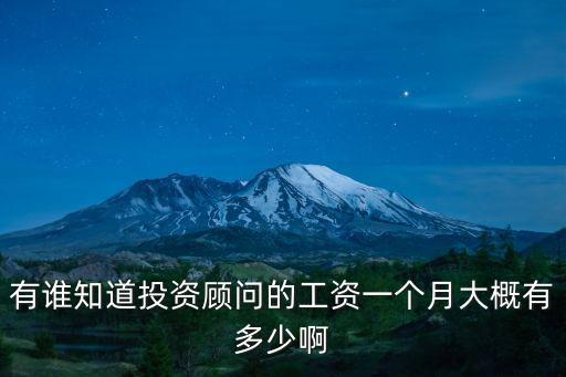 投資顧問待遇怎么樣，有誰知道投資顧問的工資一個月大概有多少啊