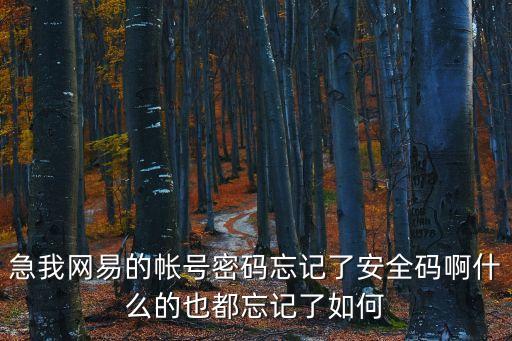 網(wǎng)易怎么找回密碼，急我網(wǎng)易的帳號密碼忘記了安全碼啊什么的也都忘記了如何