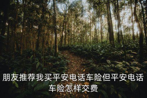 電話車險(xiǎn)怎么付錢，怎么投電話車險(xiǎn)怎么付錢