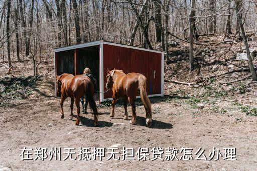 在鄭州無(wú)抵押無(wú)擔(dān)保貸款怎么辦理