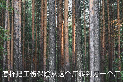 怎樣把工傷保險從這個廠轉(zhuǎn)到另一個廠