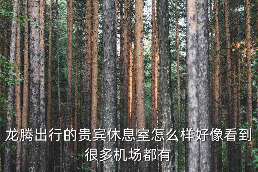 龍騰出行的貴賓休息室怎么樣好像看到很多機(jī)場(chǎng)都有