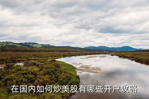 內(nèi)地怎么炒美股，滿分急求怎樣在中國炒美股