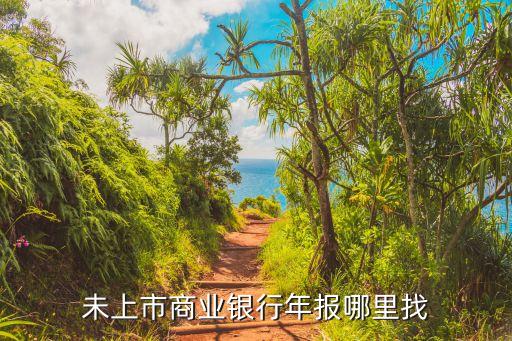 未上市商業(yè)銀行年報(bào)哪里找