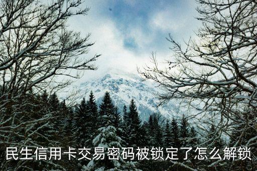 民生信用卡交易密碼被鎖定了怎么解鎖