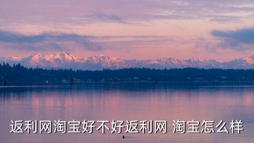 返利網(wǎng)淘寶好不好返利網(wǎng) 淘寶怎么樣