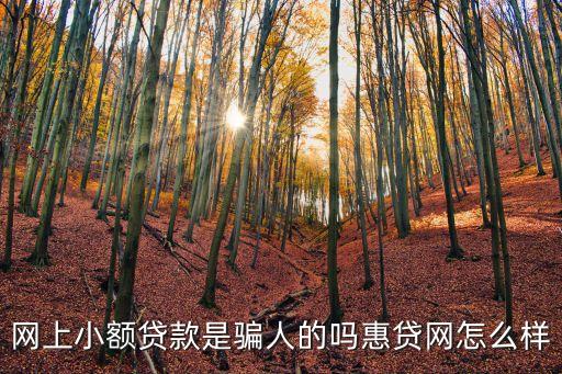 慧貸公司怎么樣，惠貸網(wǎng)公司的愿景是什么怎么樣