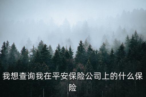 我想查詢我在平安保險(xiǎn)公司上的什么保險(xiǎn)