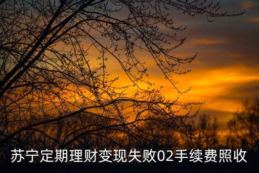 蘇寧定期理財變現(xiàn)失敗02手續(xù)費照收