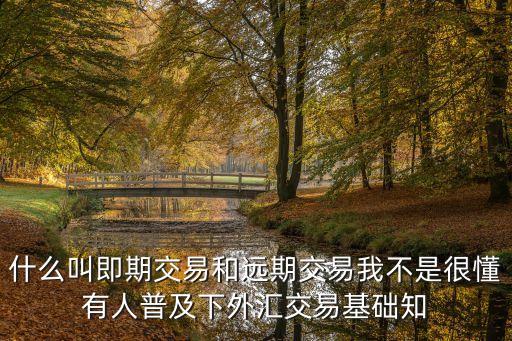 什么叫即期交易和遠(yuǎn)期交易我不是很懂有人普及下外匯交易基礎(chǔ)知