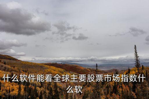 什么軟件能看全球主要股票市場指數(shù)什么軟