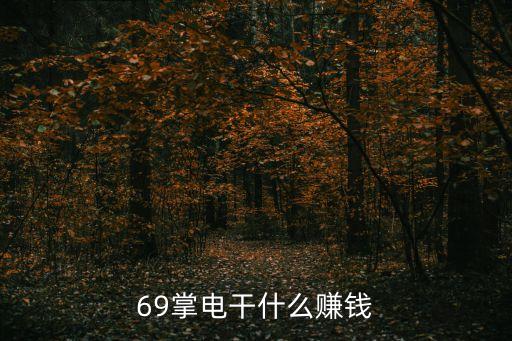 掌卡怎么盈利，69掌電干什么賺錢