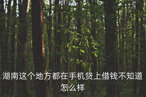 湖南這個地方都在手機(jī)貸上借錢不知道怎么樣