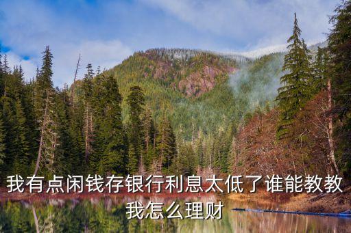 我有點閑錢存銀行利息太低了誰能教教我怎么理財