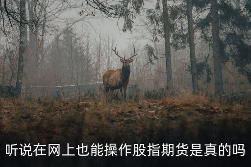 網(wǎng)上怎么做股指期貨，聽說在網(wǎng)上也能操作股指期貨是真的嗎