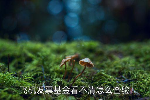 飛機(jī)發(fā)票基金看不清怎么查驗(yàn)