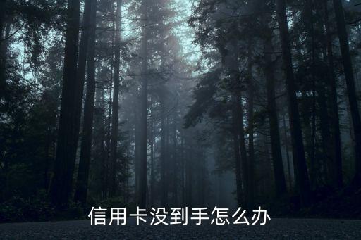 信用卡未收到怎么辦，我辦的信用卡還沒有收到