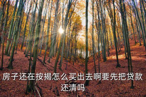 房子還在按揭怎么買(mǎi)出去啊要先把貸款還清嗎