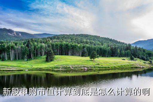 滬市打新市值怎么算，新股申購市值計算到底是怎么計算的啊
