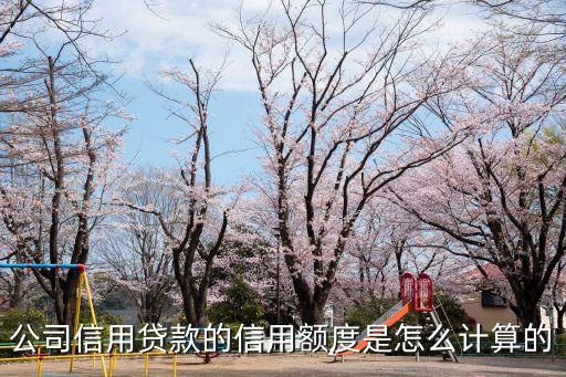 信用貸款額度怎么算，個人信用貸的額度是怎么判定的