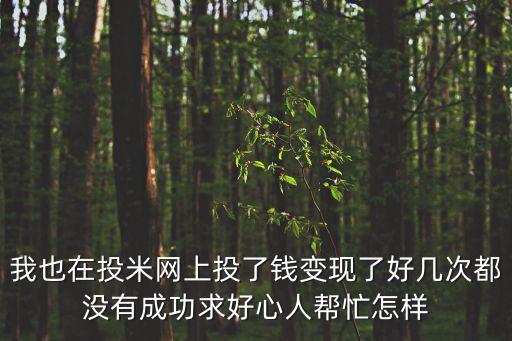 我也在投米網(wǎng)上投了錢變現(xiàn)了好幾次都沒有成功求好心人幫忙怎樣