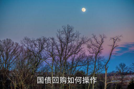 國債回購怎么做，國債回購如何操作