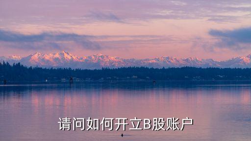怎么開b股賬戶，如何開立B股帳號(hào)