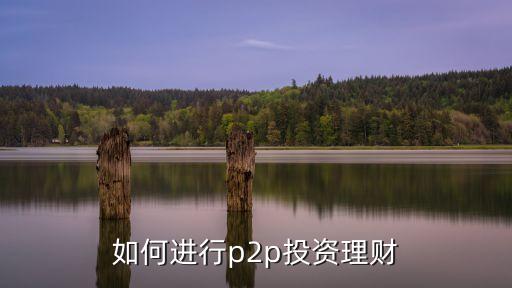 如何進(jìn)行p2p投資理財(cái)