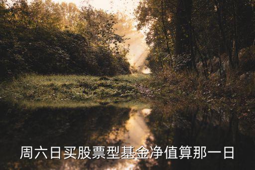 周六周末買(mǎi)基金單位凈值怎么算，星期六可以買(mǎi)基金幺怎么計(jì)算