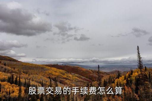 股票交易的手續(xù)費怎么算