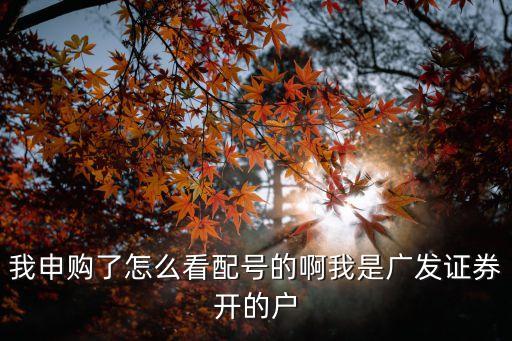 廣發(fā)系統(tǒng)怎么查中簽，我申購了怎么看配號的啊我是廣發(fā)證券開的戶
