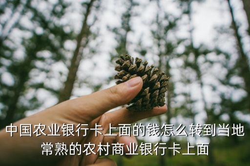 農(nóng)行轉村鎮(zhèn)銀行怎么轉，農(nóng)業(yè)網(wǎng)銀轉怎么轉賬到村鎮(zhèn)銀行