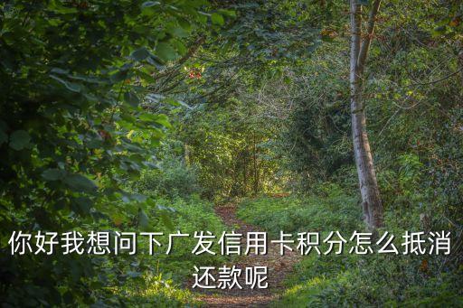 你好我想問下廣發(fā)信用卡積分怎么抵消還款呢