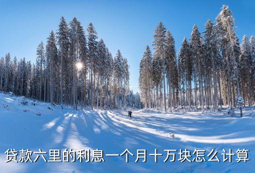 貸款六里的利息一個月十萬塊怎么計算